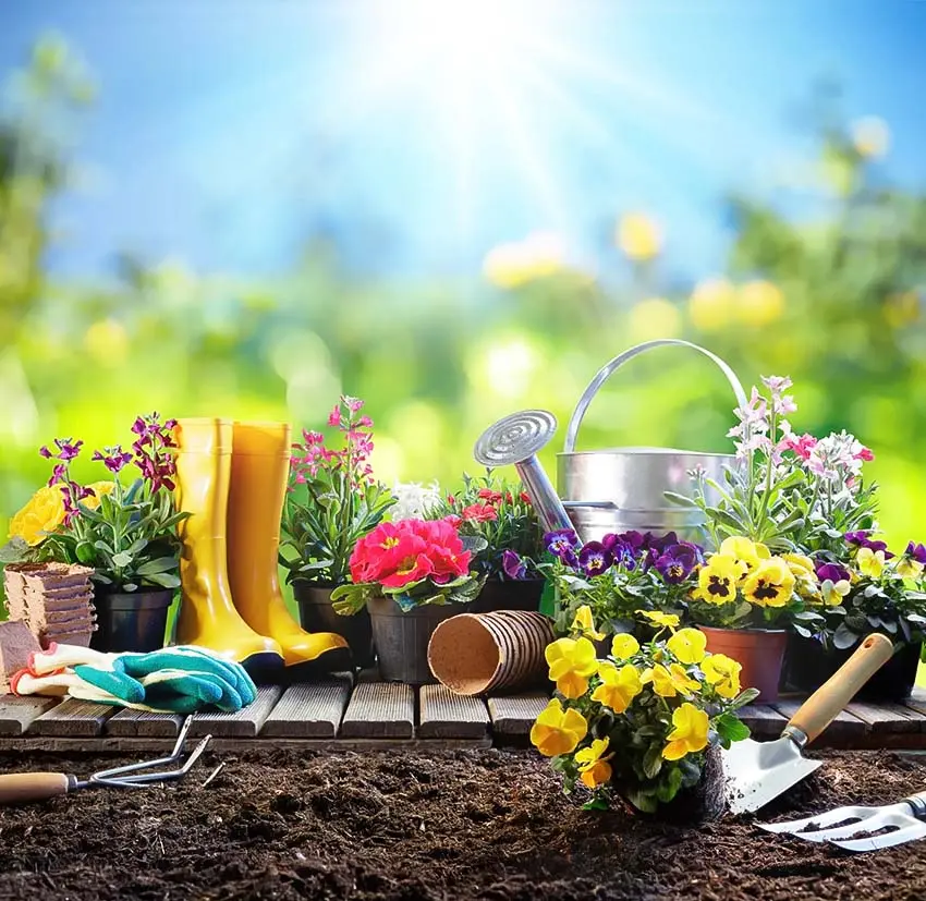 Gardening at homeباغبانی در منزل