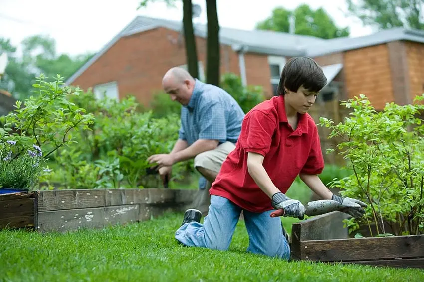Gardening at homeباغبانی در منزل