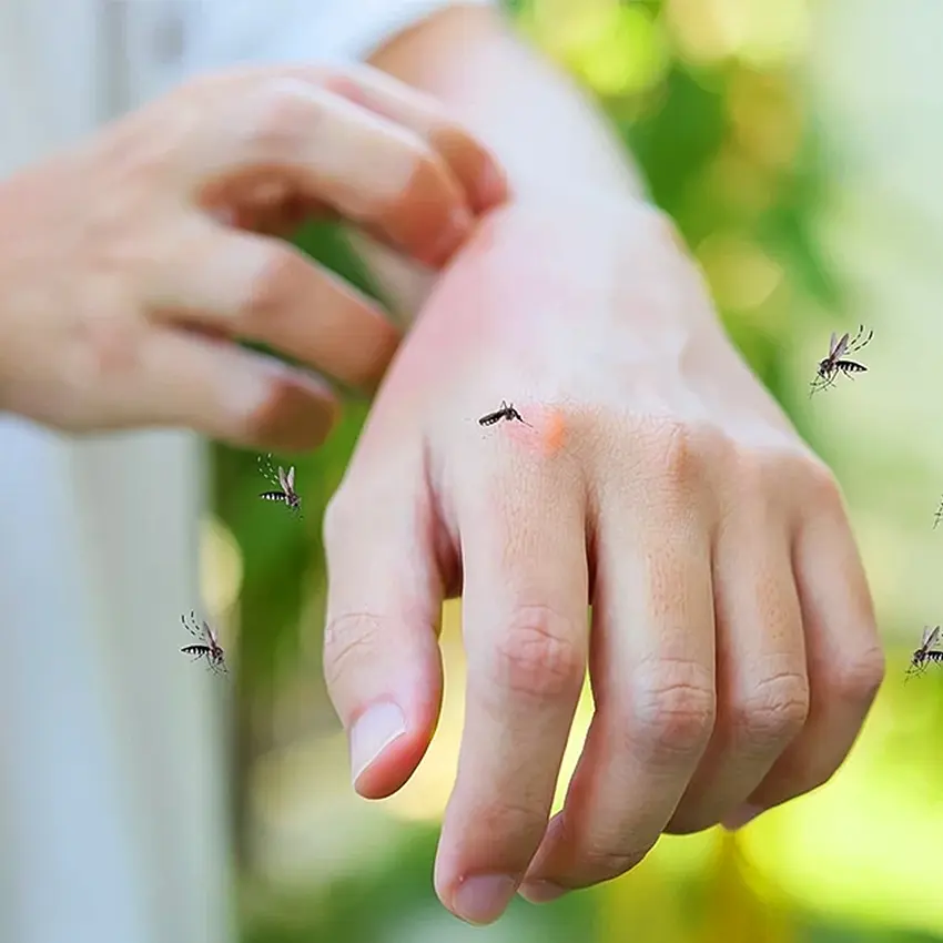 Dealing with mosquitoes مقابله با پشه‌ها