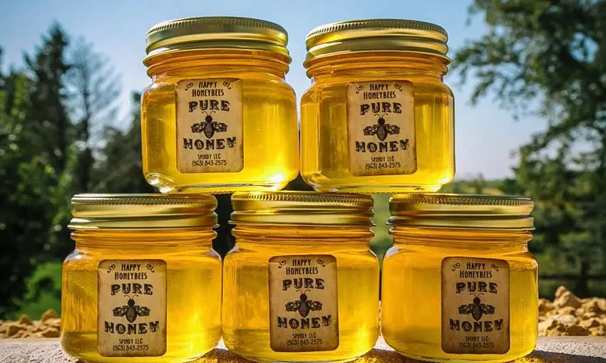 Beesزنبورها