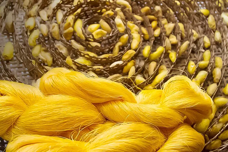 صنعت ابریشم تایلند