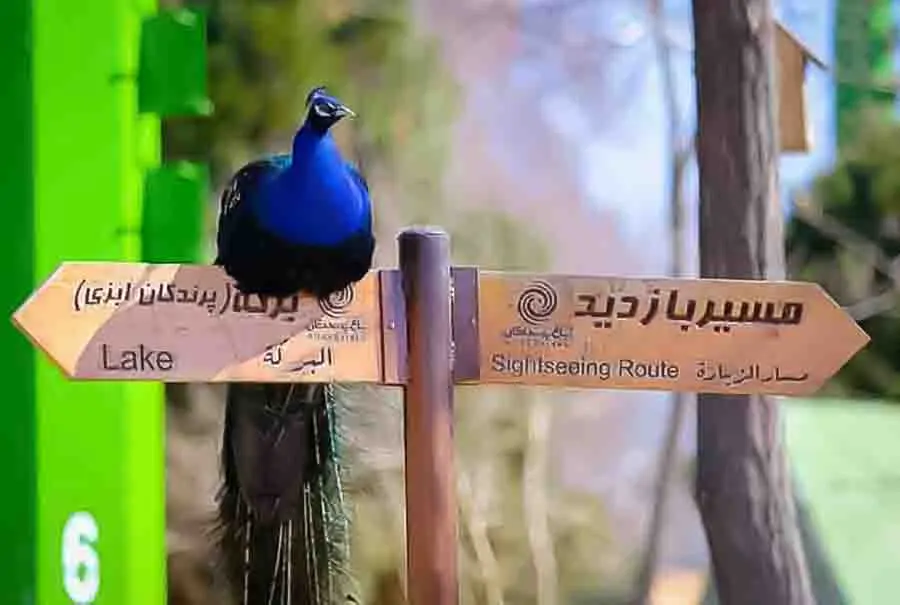 باغ پرندگان-جاذبه‌های گردشگری اصفهان