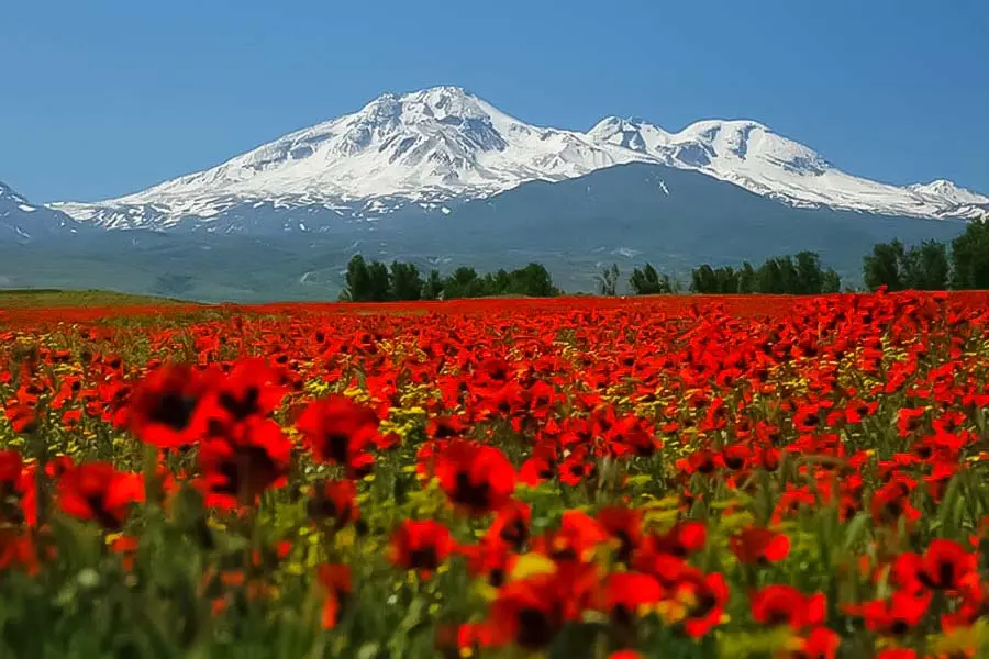 جاهای دیدنی تبریز