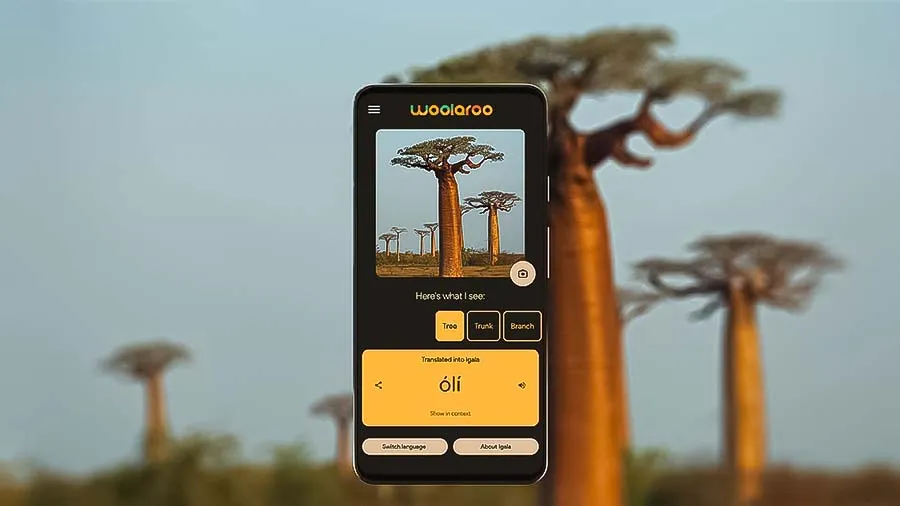 ابزار Woolaroo گوگل-هوش مصنوعی گوگل