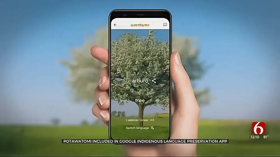 ابزار Woolaroo گوگل-هوش مصنوعی گوگل