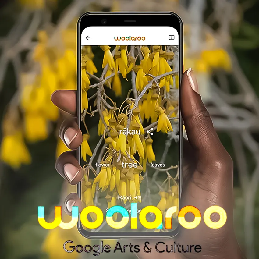 ابزار Woolaroo گوگل-هوش مصنوعی گوگل-ترجمه زبان‌های آفریقایی با AI